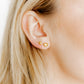Screwback Stud Earrings - Hadley Gold - LINNY CO WholesaleStuds