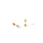 Screwback Stud Earrings - Helen Gold - LINNY CO WholesaleStuds