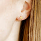Screwback Stud Earrings - Hibiscus - LINNY CO WholesaleStuds