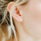Screwback Stud Earrings - Ichthys Fish Gold - LINNY CO WholesaleStuds