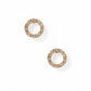 Screwback Stud Earrings - Lainey Gold - LINNY CO WholesaleStuds