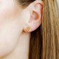 Screwback Stud Earrings - Lobster - LINNY CO WholesaleStuds