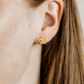Screwback Stud Earrings - Louis Horse Gold - LINNY CO WholesaleStuds