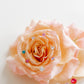 Screwback Stud Earrings Lux - Candy Clover Clear - LINNY CO WholesaleStuds