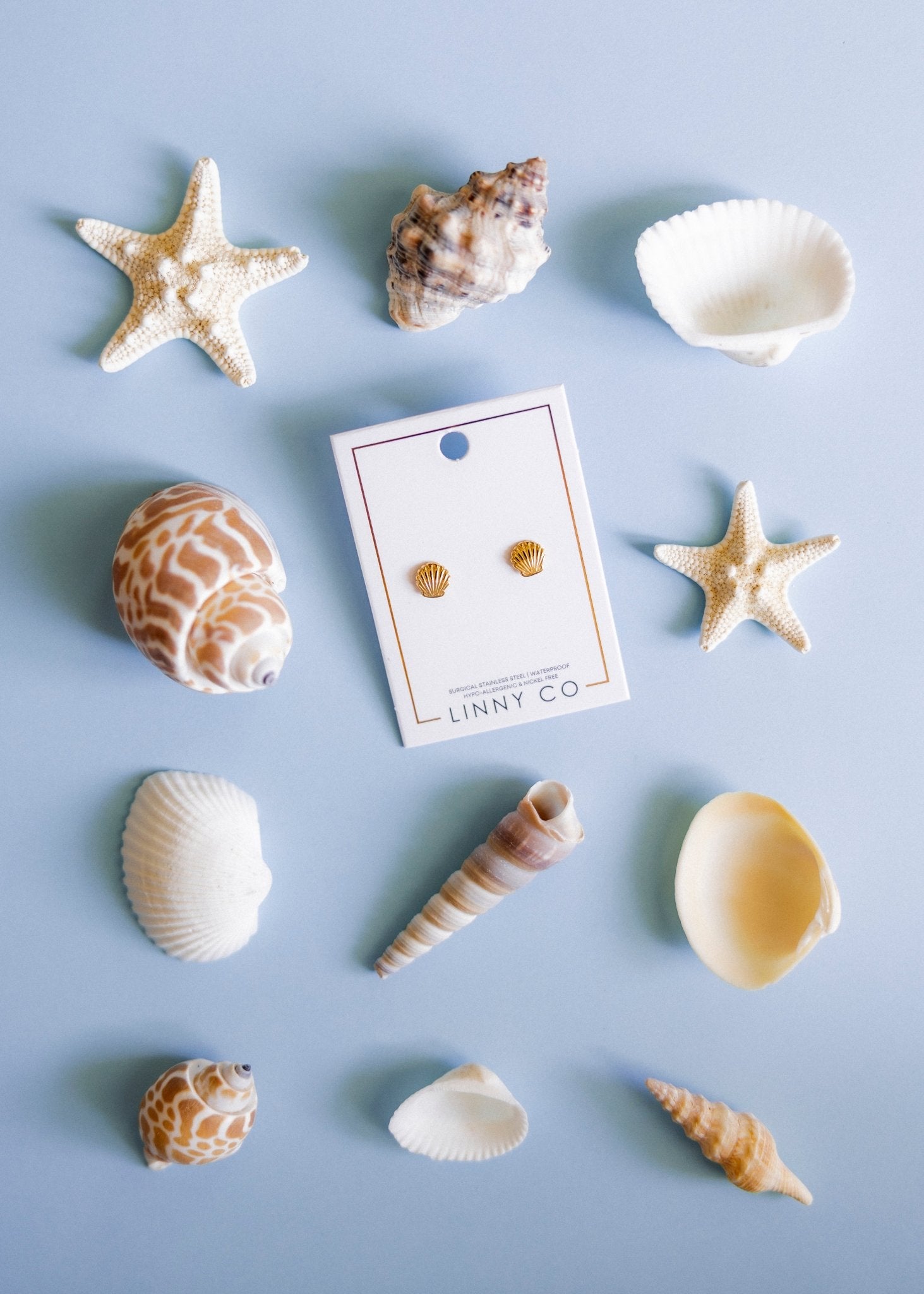 Screwback Stud Earrings - Marina Shell - LINNY CO WholesaleStuds