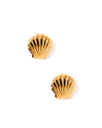 Screwback Stud Earrings - Marina Shell - LINNY CO WholesaleStuds