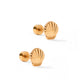 Screwback Stud Earrings - Marina Shell - LINNY CO WholesaleStuds