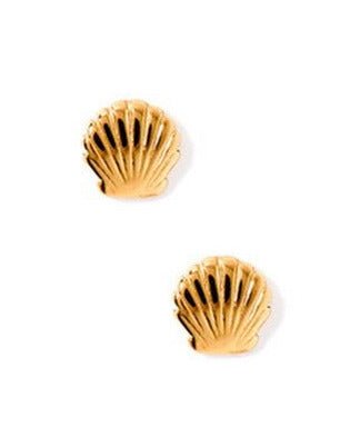 Screwback Stud Earrings - Marina Shell - LINNY CO WholesaleStuds