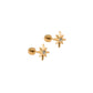 Screwback Stud Earrings - Mary CZ Star - LINNY CO WholesaleStuds
