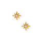 Screwback Stud Earrings - Mary CZ Star - LINNY CO WholesaleStuds