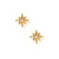 Screwback Stud Earrings - Mary CZ Star - LINNY CO WholesaleStuds