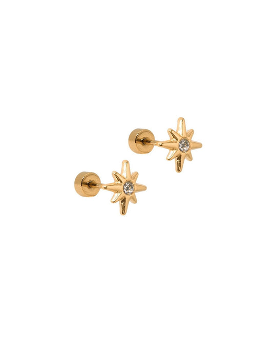 Screwback Stud Earrings - Mary CZ Star - LINNY CO WholesaleStuds
