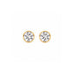Screwback Stud Earrings - Micro Cooper Clear Gold 2mm - LINNY CO WholesaleStuds