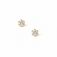 Screwback Stud Earrings - Micro Helen Gold - LINNY CO WholesaleStuds