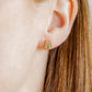 Screwback Stud Earrings - Noah Rainbow - LINNY CO WholesaleStuds