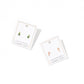 Screwback Stud Earrings - Noelle - LINNY CO WholesaleStuds