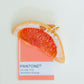 Screwback Stud Earrings - Orange Slice - LINNY CO WholesaleStuds