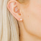 Screwback Stud Earrings - Paige Pear - LINNY CO WholesaleStuds