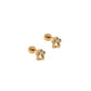 Screwback Stud Earrings - Paw Print CZ Gold - LINNY CO WholesaleStuds