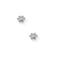 Screwback Stud Earrings - Paw Print Silver - LINNY CO WholesaleStuds
