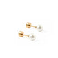 Screwback Stud Earrings - Payton Pearl White 5mm - LINNY CO WholesaleStuds