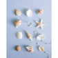 Screwback Stud Earrings - Payton Pearl White 5mm - LINNY CO WholesaleStuds