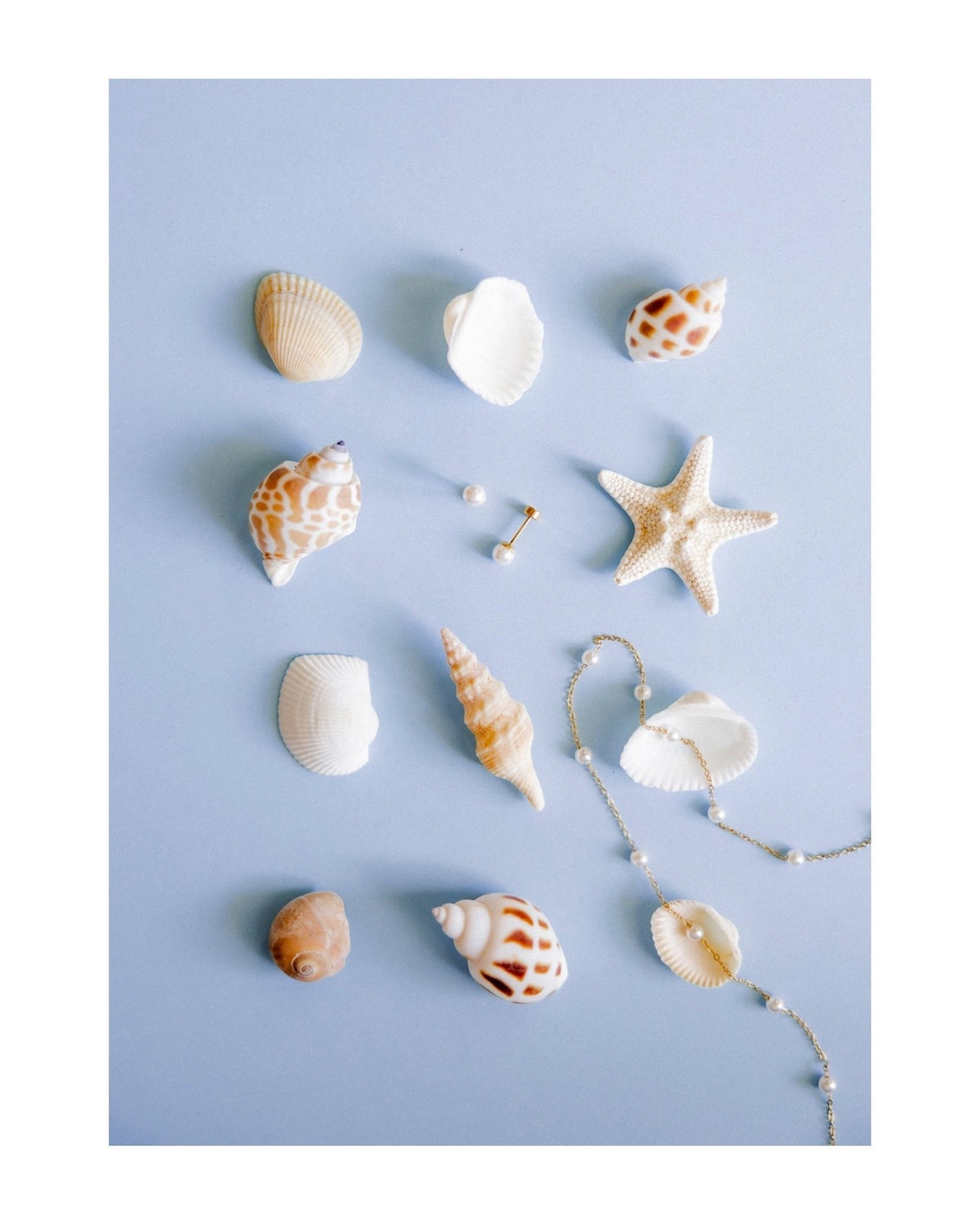 Screwback Stud Earrings - Payton Pearl White 5mm - LINNY CO WholesaleStuds