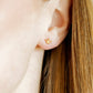 Screwback Stud Earrings - Princess Gold - LINNY CO WholesaleStuds