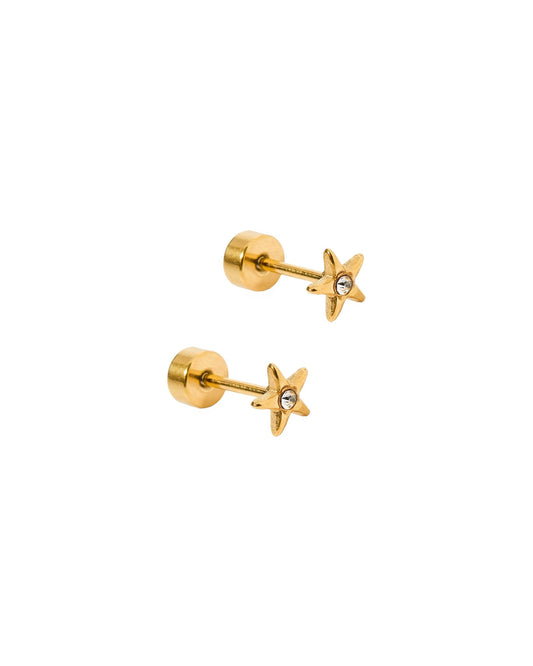 Screwback Stud Earrings - Scout Star - LINNY CO WholesaleStuds