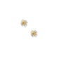 Screwback Stud Earrings - Sloane - LINNY CO WholesaleStuds
