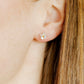 Screwback Stud Earrings - Sloane - LINNY CO WholesaleStuds