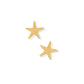 Screwback Stud Earrings - Starfish Gold - LINNY CO WholesaleStuds