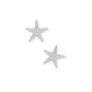 Screwback Stud Earrings - Starfish Silver - LINNY CO WholesaleStuds