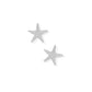 Screwback Stud Earrings - Starfish Silver - LINNY CO WholesaleStuds
