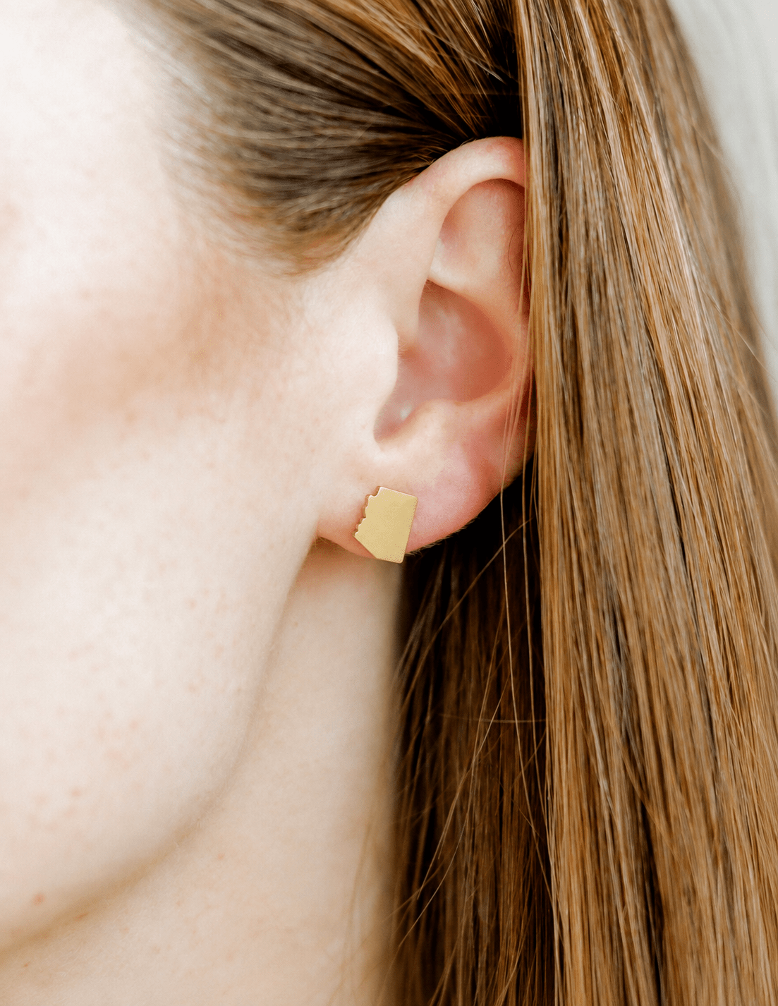 Screwback Stud Earrings - State of Arizona Gold - LINNY CO WholesaleStuds