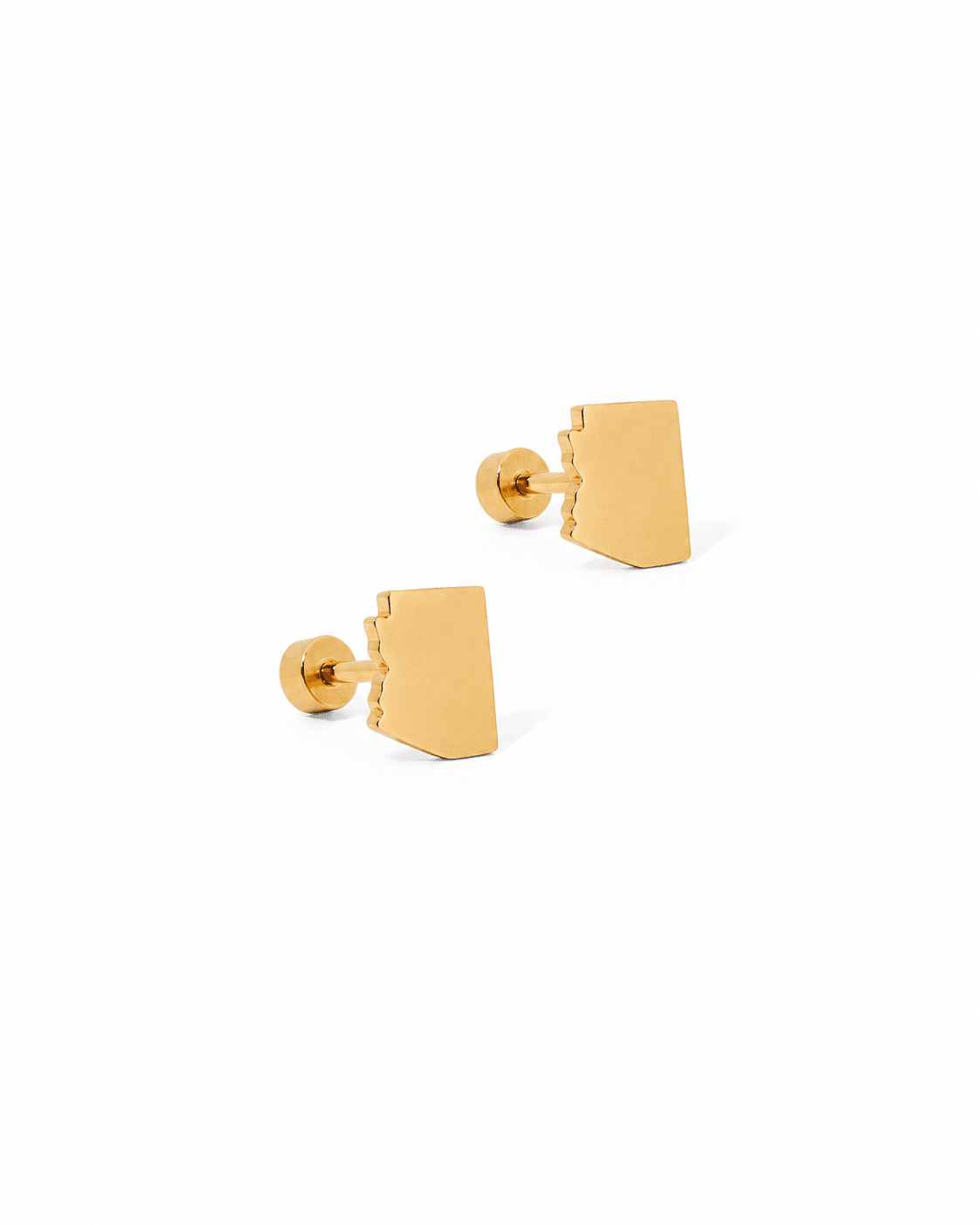 Screwback Stud Earrings - State of Arizona Gold - LINNY CO WholesaleStuds