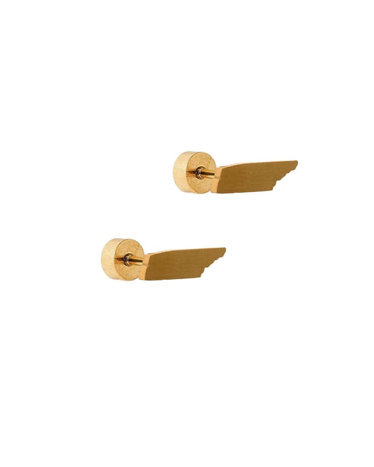 Screwback Stud Earrings - State of Tennessee - LINNY CO WholesaleStuds
