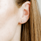Screwback Stud Earrings - Texas Steer Silver - LINNY CO WholesaleStuds