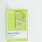 Screwback Stud Earrings - Vivian - LINNY CO WholesaleStuds