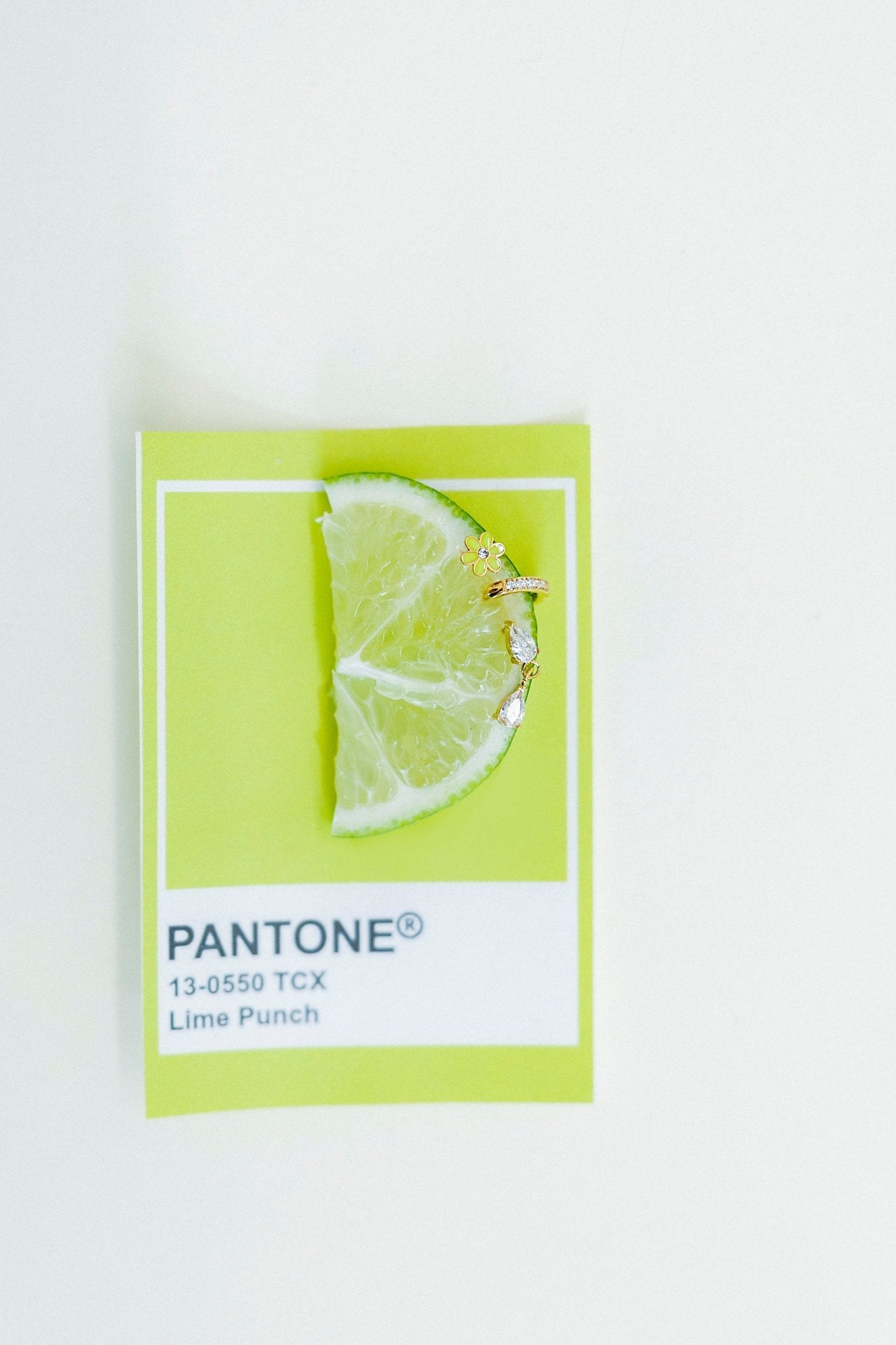 Screwback Stud Earrings - Vivian - LINNY CO WholesaleStuds