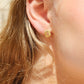 Screwback Stud Earrings - Whitney Butter Yellow - LINNY CO WholesaleStuds